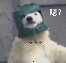 羊了个羊娱乐吃瓜,娱乐吃瓜，揭秘网络爆款游戏背后的故事